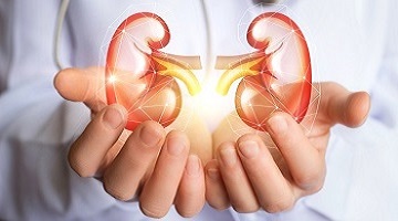 kidney test
